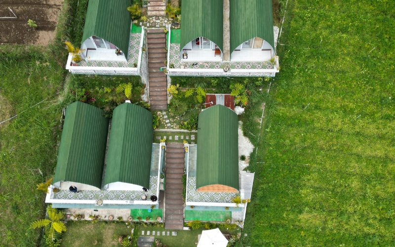 Living Roofs Vegetated Green Roof Systems