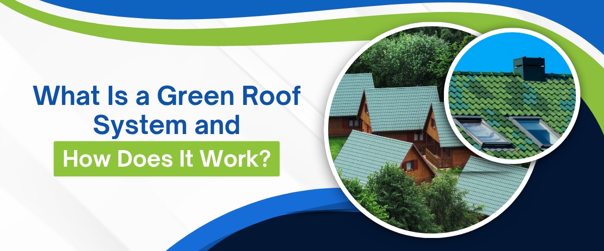 What Is a Green Roof System and How Does It Work