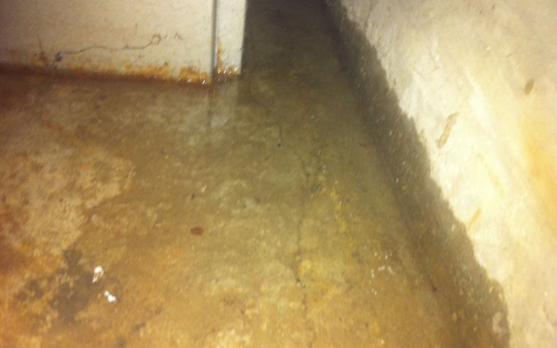 When Should You Call Emergency Restoration Services vs. Handling It Yourself?