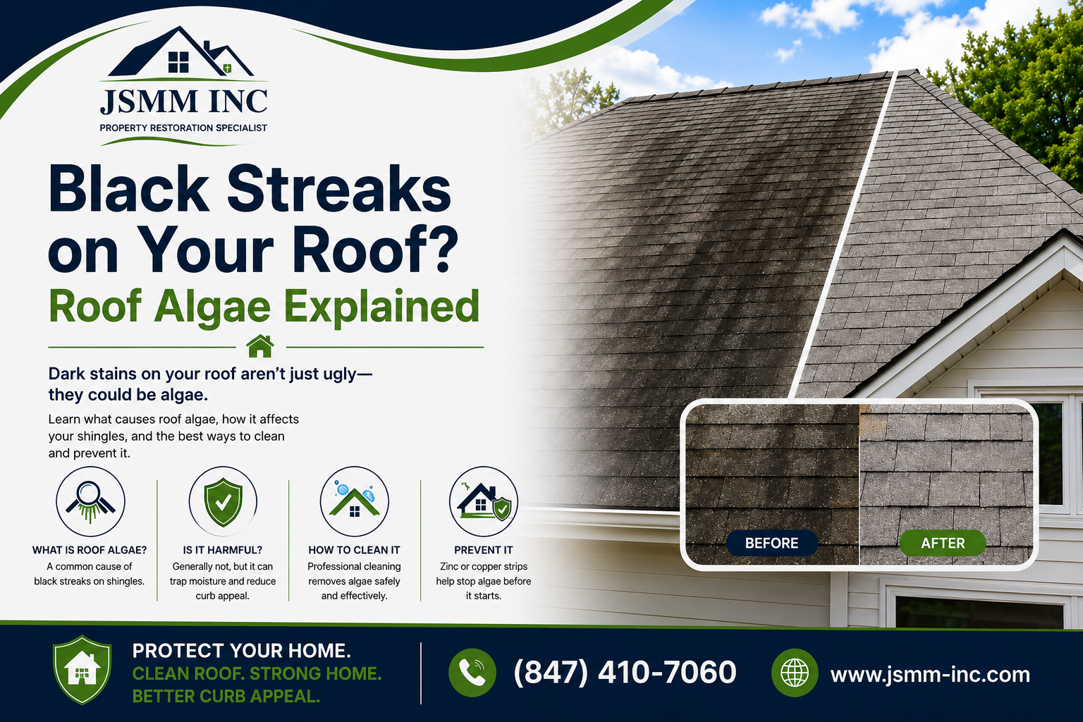 Roof Algae Explained: Before and After